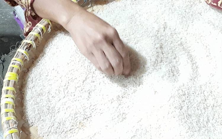Bulog agar Melakukan Percepatan Penyebaran Beras Jelang Akhir Tahun