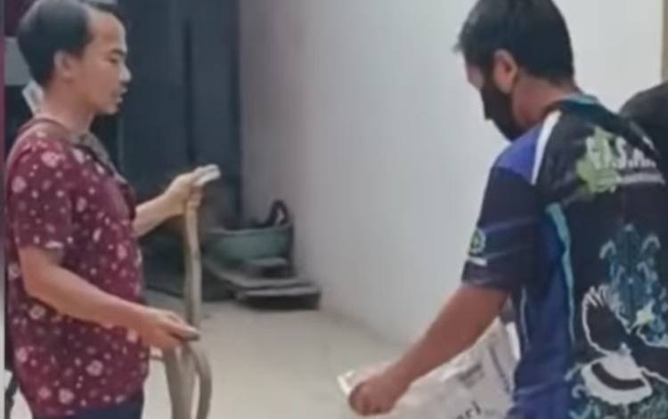 Tim Pandulima Evakuasi Ular Kobra Masuk Rumah Warga