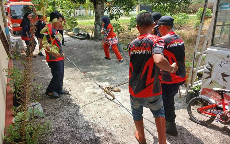 Asyik Masak Kobra Masuk Dapur, Akhirnya Nasib Sri jadi Begini