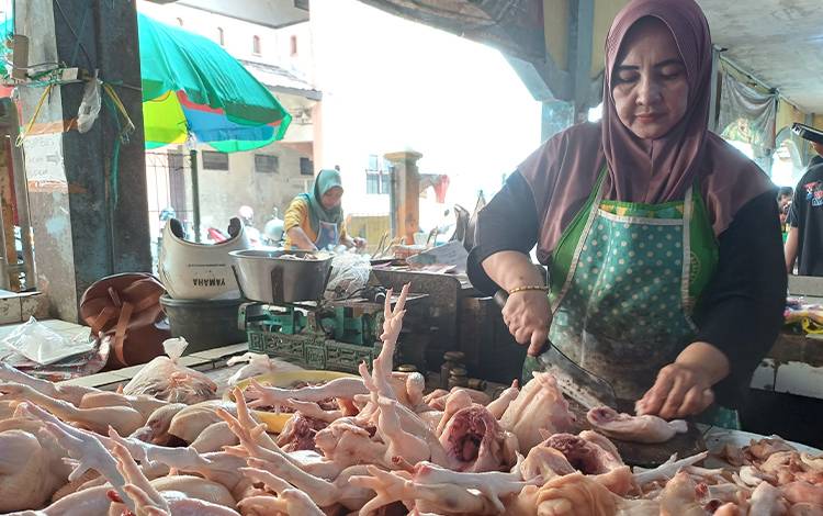 Harga Daging Ayam Broiler di Sampit Naik, Ini Penyebabnya