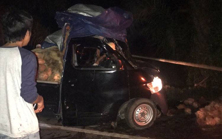 Pikap Angkut Kelapa Laka Tunggal, 2 Orang Dilarikan ke Rumah Sakit