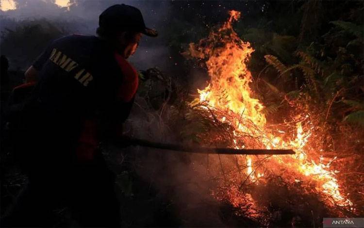 KLHK: Kalista Alam Lunasi Rp114 Miliar Kerugian Negara Akibat Karhutla
