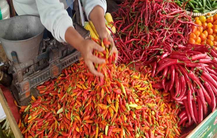 Biang Kerok Inflasi Kalteng Komoditas Cabai