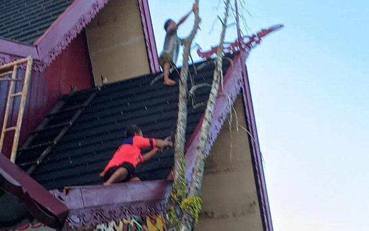Rumah Dinas Ketua DPRD Palangka Raya Tertimpa Pohon Tumbang