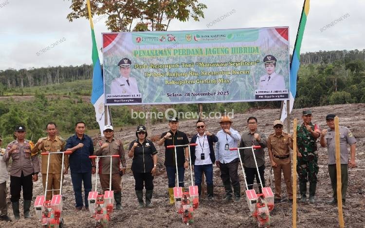 Bupati Gunung Mas Berharap Kawasan Pengembang Jagung Hibrida di Tanjung Riu Memotivasi Masyarakat Lain