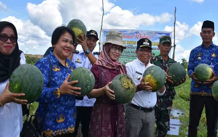 Desa Pulau Kaladan Terus Didorong Kembangkan Potensi Budidaya Semangka