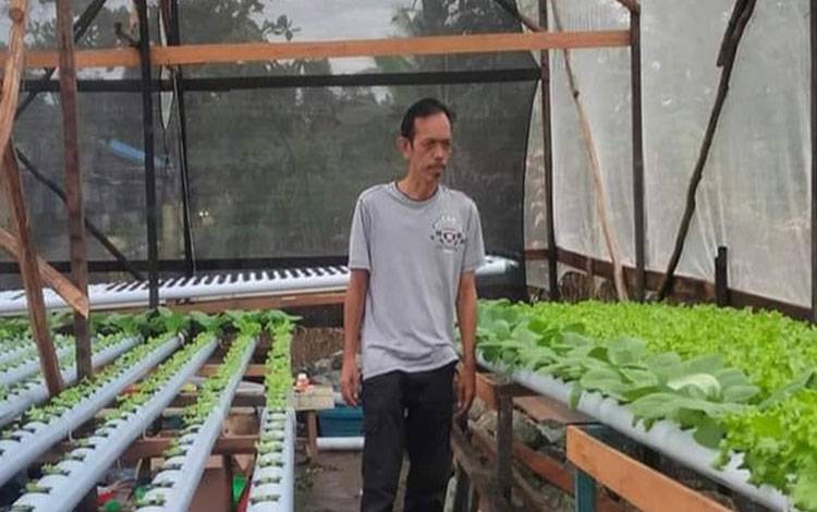 Kades Anjir Serapat Barat Berinovasi Kembangkan Tanaman Hidroponik dan Ternak Bebek