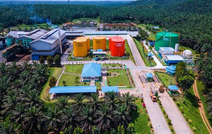 SSMS Siap Masuki Perdagangan Karbon Indonesia