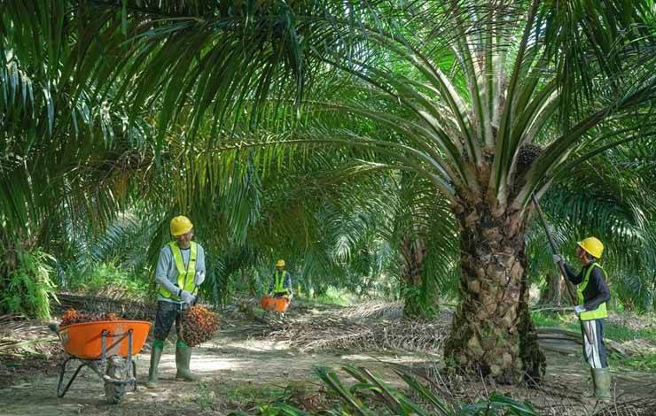 SSMS Mulai Petakan Sumber Emisi Gas Rumah Kaca