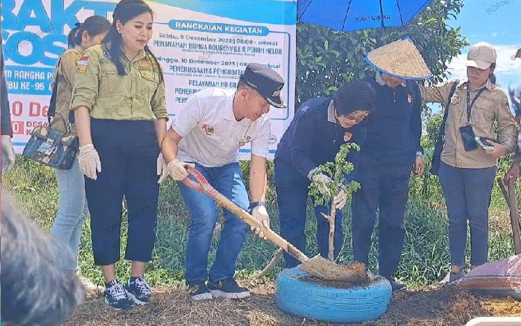 Bupati Gunung Mas Sambut Baik Kegiatan Menanam Tanaman Kelor di Desa Hurung Bunut