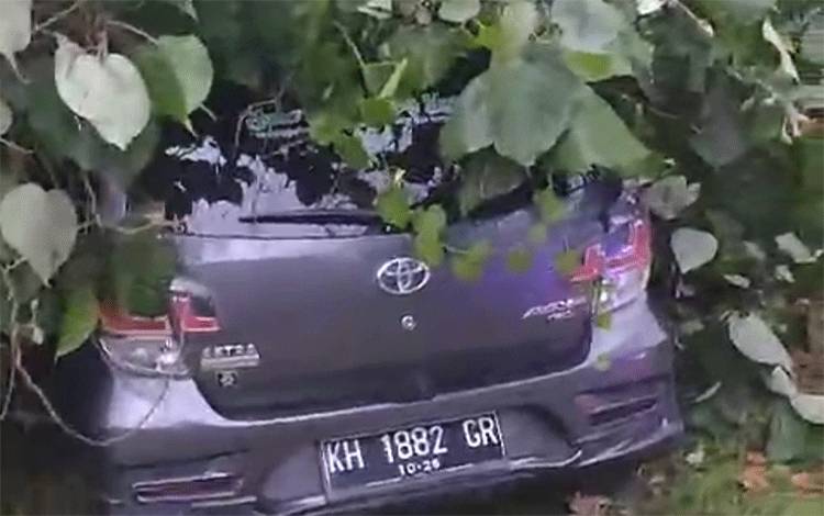 Pohon Tumbang Timpa Mobil di Jalan Sultan Hasanuddin Palangka Raya