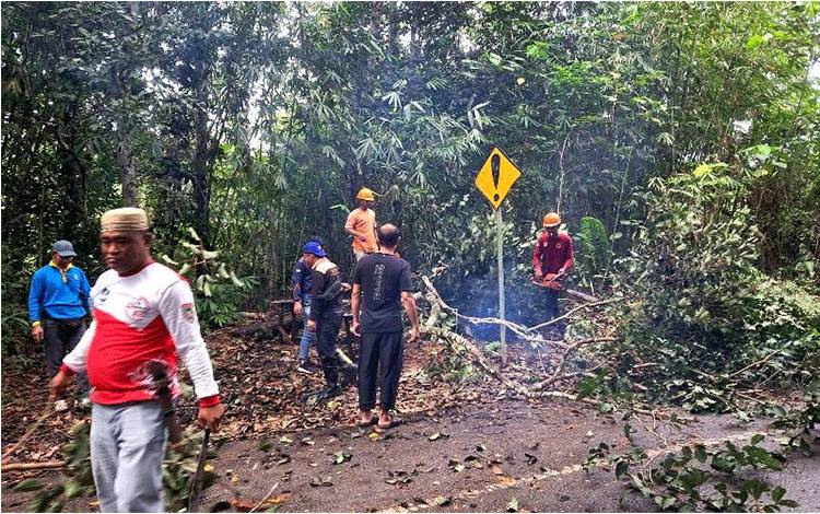 Dewan Apresiasi KKBL dan BPBD Gotong Royong Pembersihan Jalan Lemo