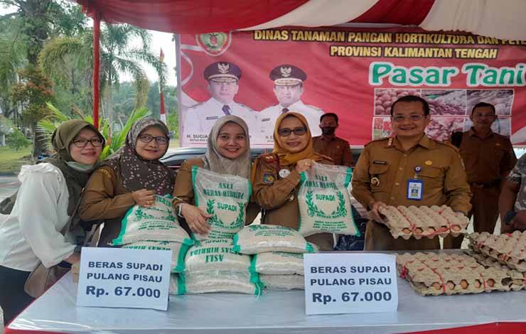 TPHP Kalteng: Produksi Padi Food Estate Alami Kendala Lahan
