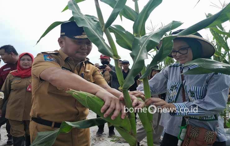 Gubernur Kalteng Akui Wilayahnya Kekurangan Penyuluh Pertanian