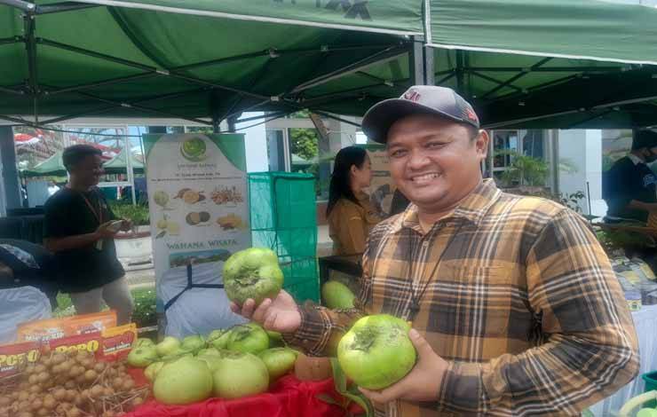 Black Sapote Kotim Pemasaran Belum Bisa Keluar Pulau Kalimantan