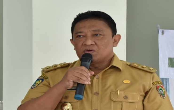 Wagub Kalteng, Edy Pratowo (Foto:Istimewa)