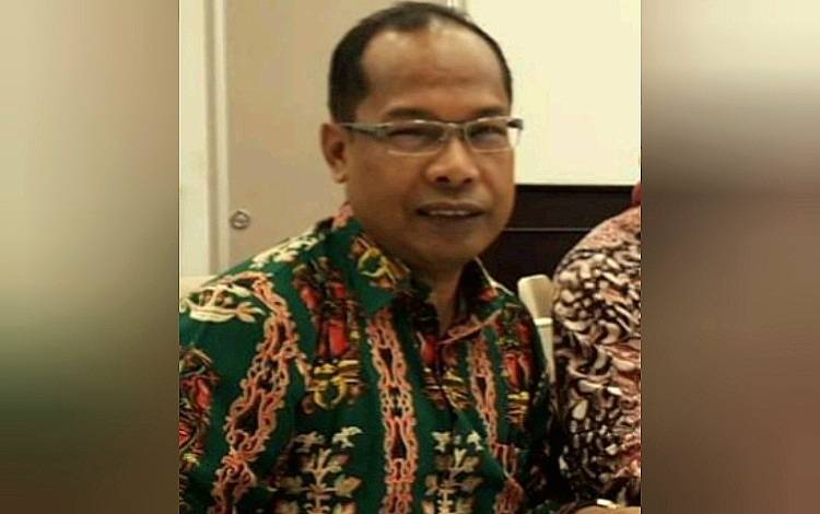 Ini Penjelasan Lengkap Dinkes Kalteng Terkait Serangga Mirip Nyamuk Atau Lalat Kerdil