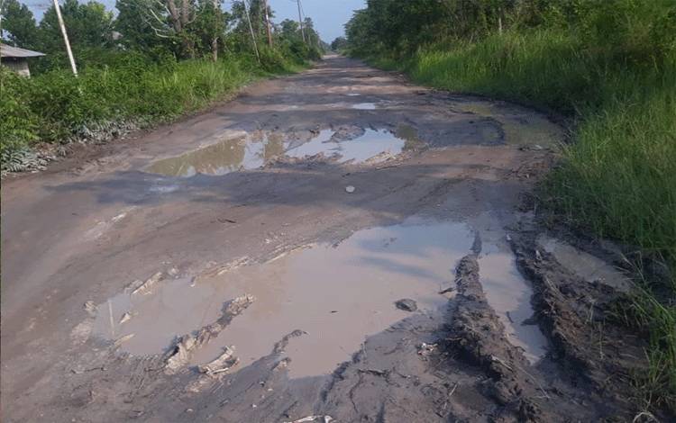Warga Yos Sudarso XVIII Ancam Tanam Pohon Pisang di Jalan yang Rusak