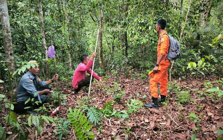 Basarnas Kalteng Terjunkan 1 Tim, Cari Judiansyah yang Hilang di Kebun Sawit