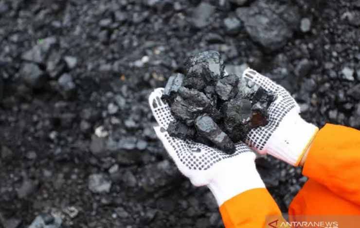 Tim Peneliti UGM Temukan Potensi Asam Humat dari Batu Bara Indonesia