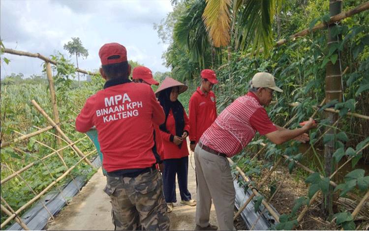 Praktik Lapangan Pelajar di Lahan Kelompok Tani Kelampan Jaya Diapresiasi