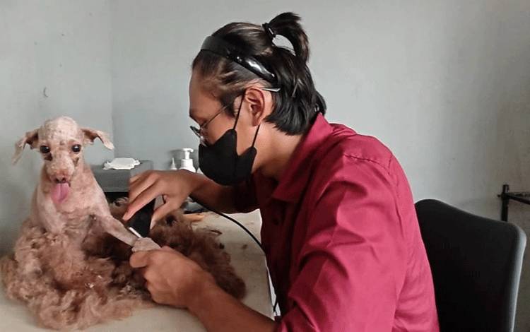 Tidak Ada yang Instan, Inspirasi Usaha dari Paw's Health Vet Clinic Palangka Raya