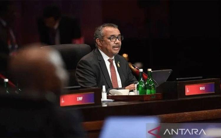 WHO Sebut Kehancuran Sistem Kesehatan di Gaza Sudah Jadi Tragedi