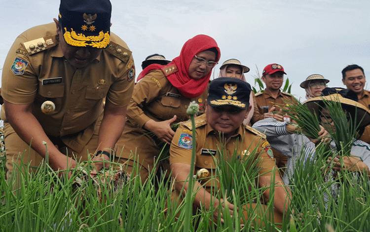 Pemprov Kalteng Lakukan Antisipasi Ketersedian Pangan