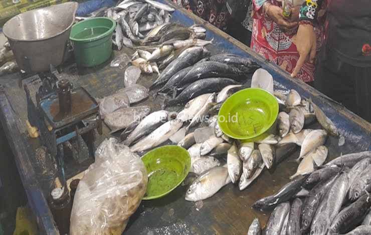 3 Jenis Ikan Ini Penyumbang Inflasi di Kalteng