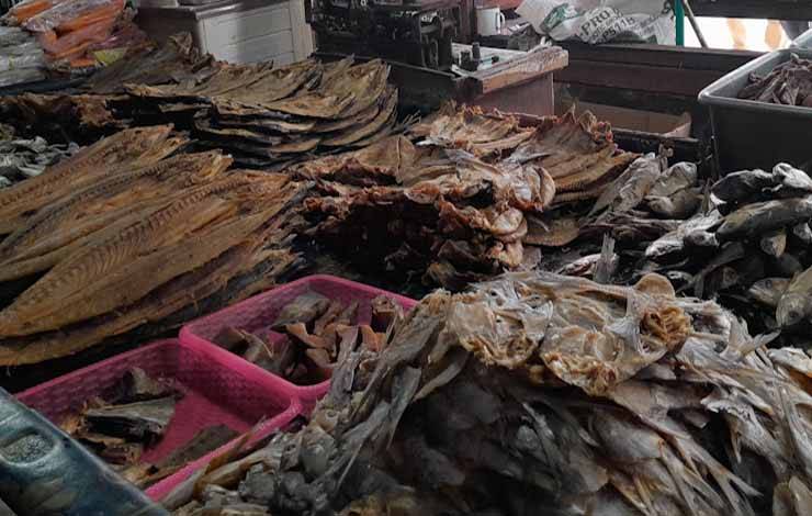 Ikan Laut Penyumbang Inflasi, TIPD Kalteng Tingkatkan Kesejahteraan Nelayan