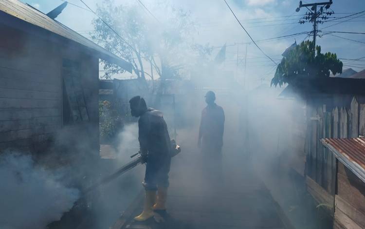 DBD Menjangkit Warga Bantaran Sungai Arut di Pangkalan Bun