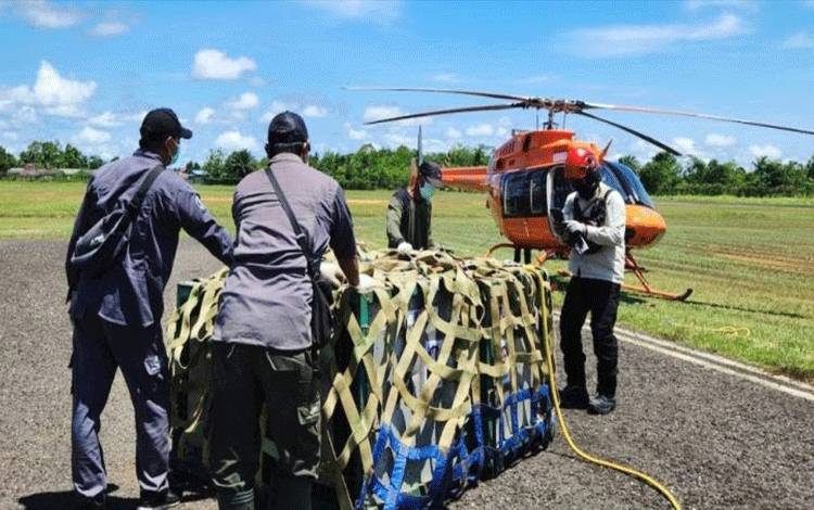 Proses Rehabilitasi Orangutan yang Panjang Tunjukkan Besarnya Investasi yang Diperlukan