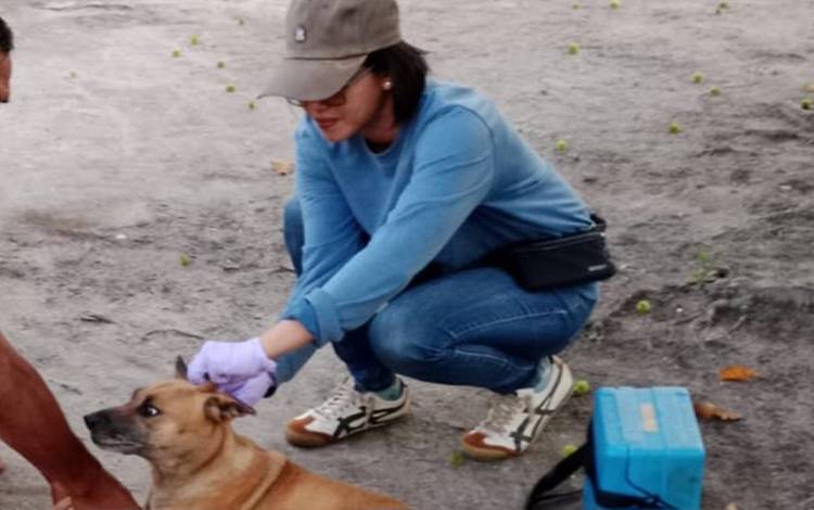 Distan Kapuas Sudah Vaksinasi Rabies 2.403 Hewan di Akhir 2023?