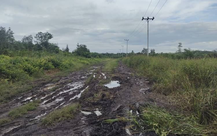 Warga Keluhkan Kondisi Jalan Desa Soren Rusak Parah
