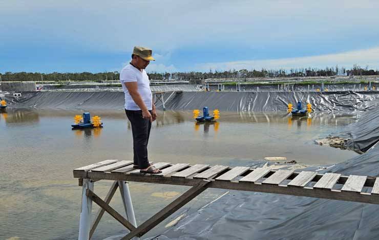 Gubernur Kalteng Tinjau Uji Konstruksi Shrimp Estate