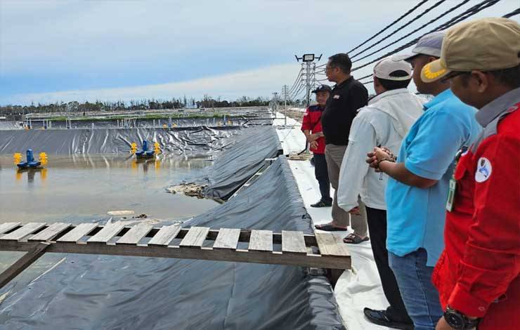 Shrimp Estate Kalteng Masuk Tahap Uji Konstruksi, Uji Kelistrikan dan Finishing