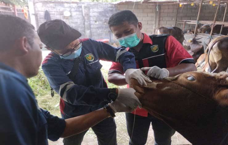 Tantangan Dokter Hewan di Indonesia Makin Berat