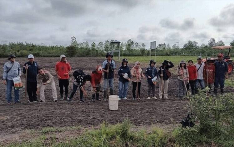 DKPPP Barito Selatan Kembangkan Demplot Hortikultura
