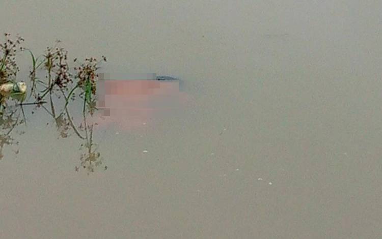 Seorang Remaja Ditemukan Meninggal Mengapung di Embung Desa Marga Mulya