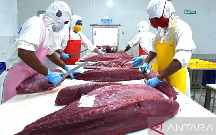 RI-Jepang Sepakati Pos Tarif Ekspor Nol Persen Produk Perikanan Tuna