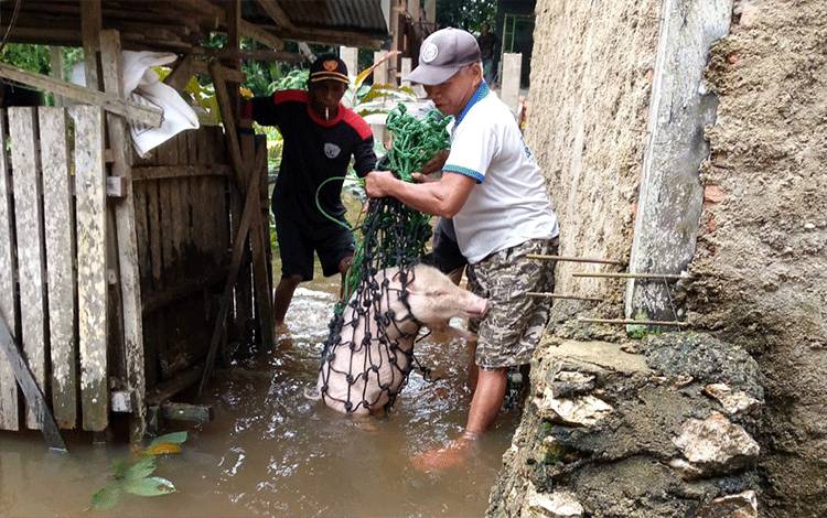 206 KK Terdampak Banjir Dua Desa di Barito Timur