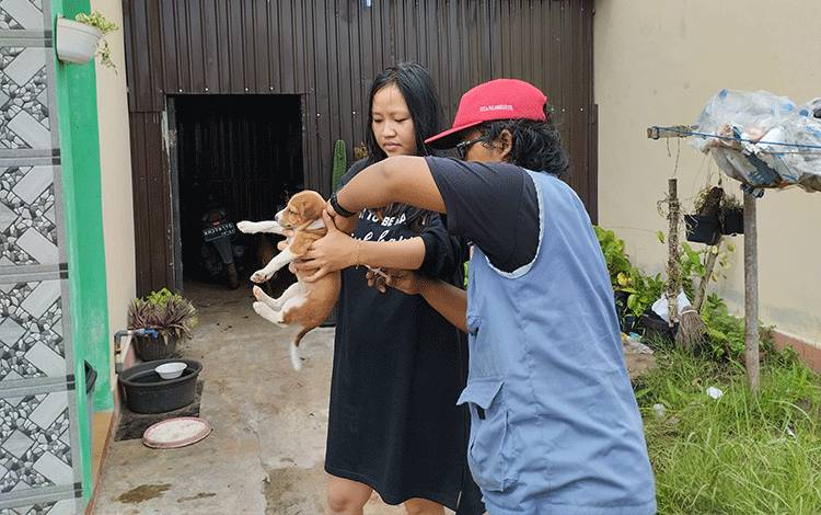 Vaksinasi Upaya Penting Cegah Penyebaran Rabies di Masyarakat
