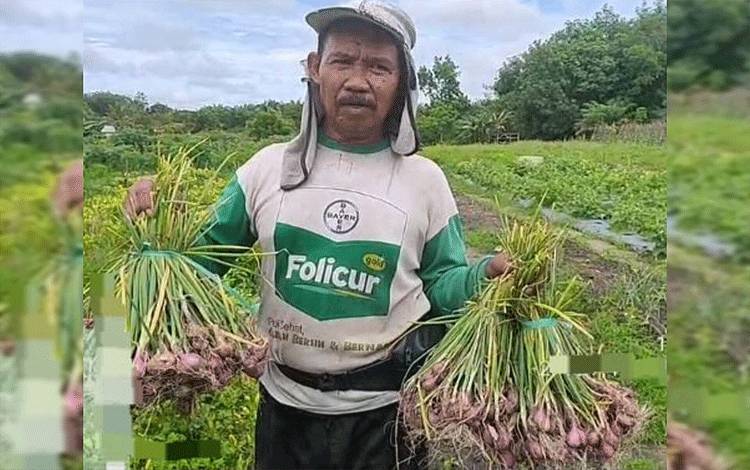 Kelompok Tani Desa Siong Sukses Kembangkan Bawang Merah Varietas Thailand