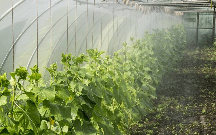 Kepala TPHP Kalteng: Teknologi Smart Farming Kurangi Limbah Pertanian