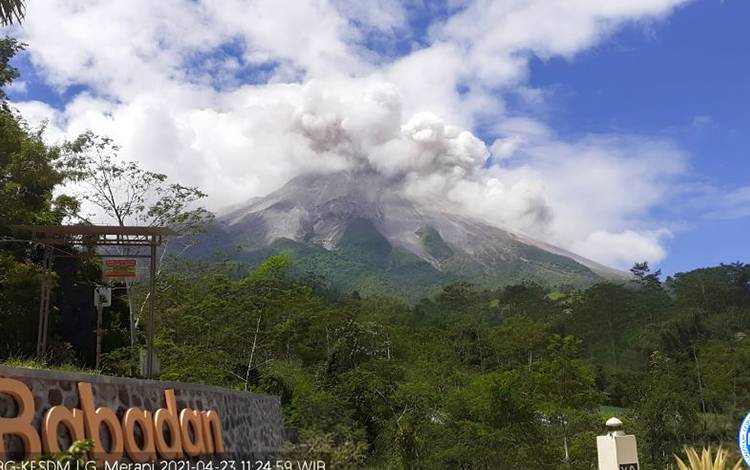 Gunung Merapi Luncurkan Empat Kali Awan Panas Selama Sepekan