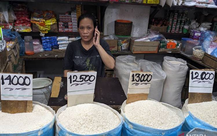 Ekonom: Tambahan Anggaran Pupuk Rp14 Triliun Bisa Turunkan Harga Beras