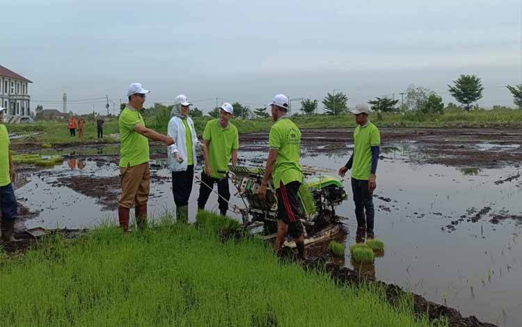 Pemko Palangka Raya Kembangkan Pertanian Padi Modern