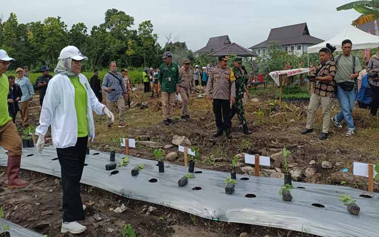 Pj Wali Kota Palangka Raya Ajak Warga Tanam Sayur di Pekarangan