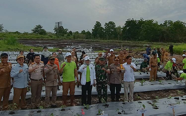 Legislator Palangka Raya Apresiasi Gerakan Menanam Padi dan Cabai