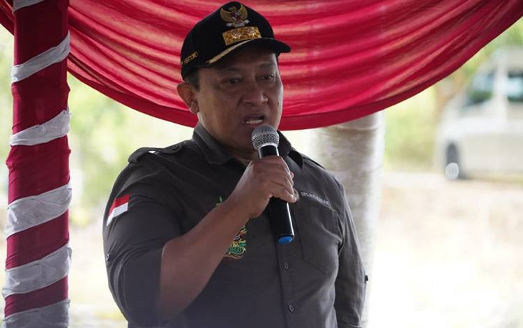 Agroforestri KUPS Desa Tuwung Turut?Berdayakan Lahao?Eks Karhutla
